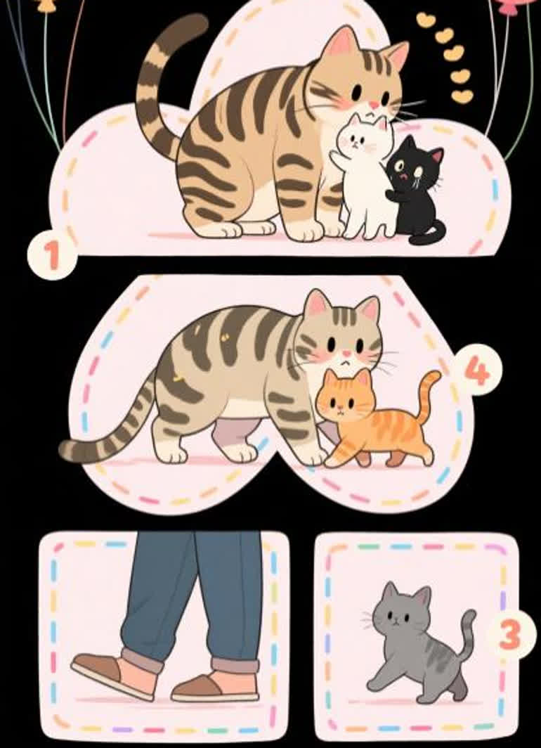 Why Your Cat Brings Her Kittens to You: It's Not Just About Trust