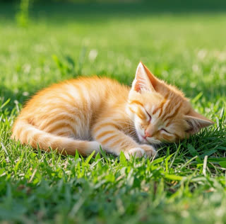 Why Cats Sleep 70% of Their Lives (Feline Science)