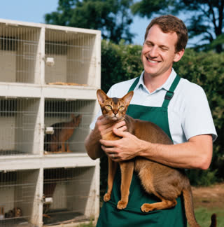 How to Find TICA-Certified Abyssinian Breeders in 2025: A Comprehensive Guide