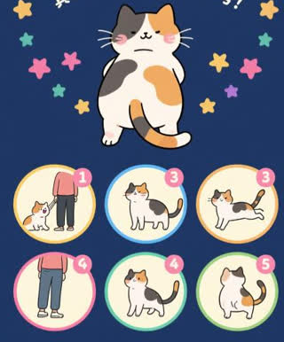 When Your Cat Shows You Its Rump: Decoding the Secret Signals